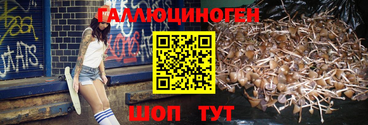 Галлюциногенные грибы MAGIC MUSHROOMS Нижний Тагил