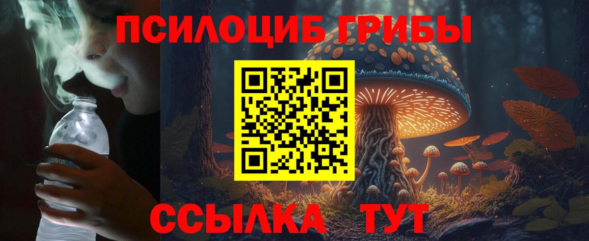 Галлюциногенные грибы Cubensis  Вход с VPN  Нижний Тагил 
