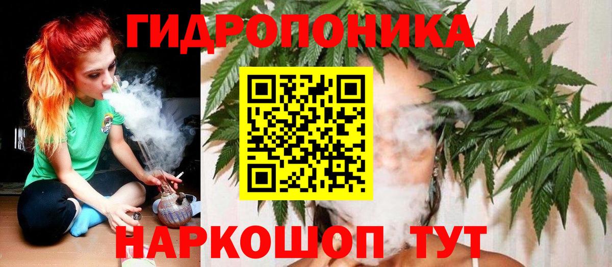 Бошки марихуана сатива Нижний Тагил